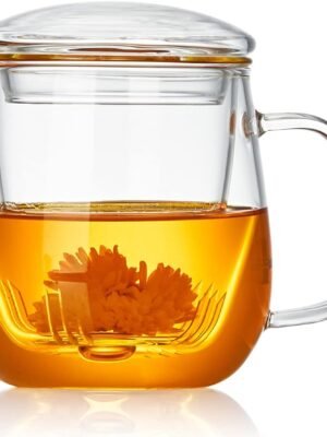 Glass Tea Cup with Infuser and Lid, 17.6oz/520ml Large Borosilicate Teacup,Tea Glass, Clear Mug for Loose Leaf Tea, Blooming Tea, Microwave & Dishwasher Safe - Tea Maker Gift for Birthday