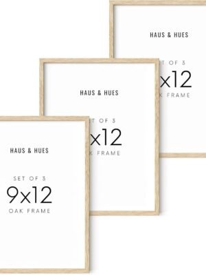 HAUS AND HUES Beige Oak Wood 9x12 Picture Frame - Modern Wood Wall Art Display - Lightweight 9x12 Frame for Art Prints, Photos, Posters - Ready-to-Hang Vertically & Horizontally (Set of 3)